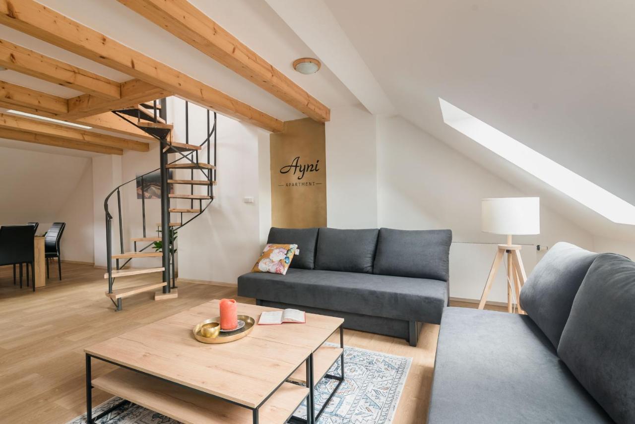 סמילי Ayni Apartman מראה חיצוני תמונה