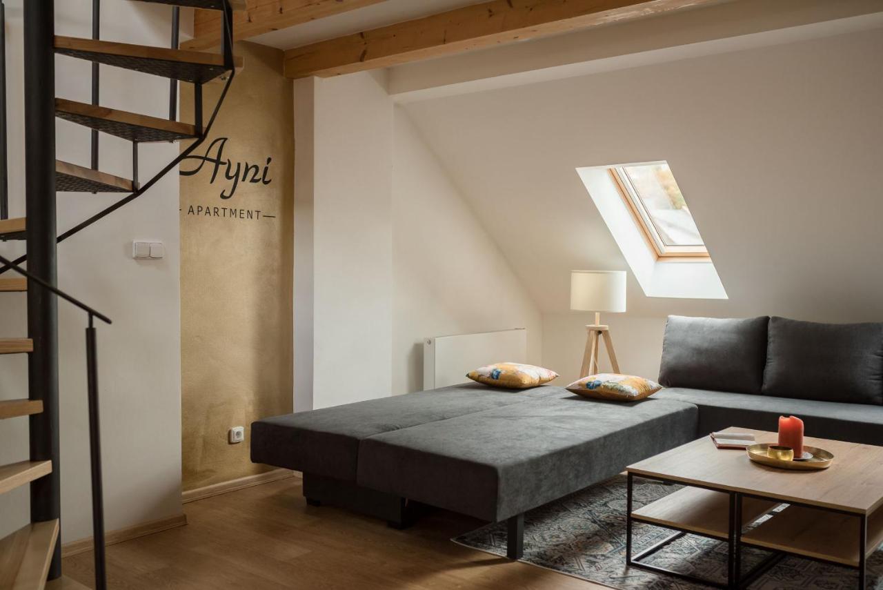 סמילי Ayni Apartman מראה חיצוני תמונה