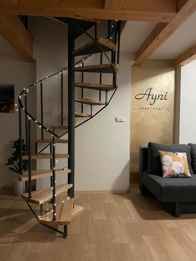 סמילי Ayni Apartman מראה חיצוני תמונה